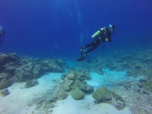 Palau, Republic of Palau