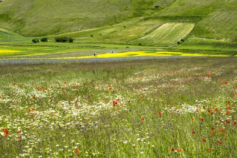 the-25-most-beautiful-roads-in-italy-thebitetour