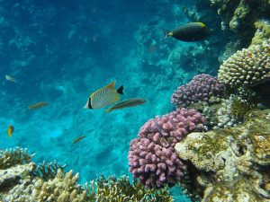 Sharm El-Sheik, Egypt