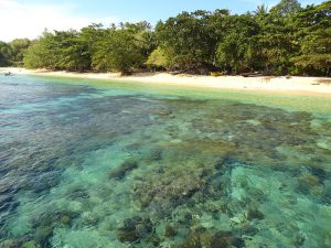 Sulawesi, between Borneo and the Moluccas