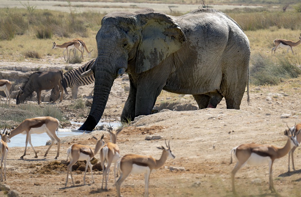 When is the best time to go to Namibia?