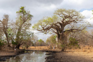 Zinave National Park