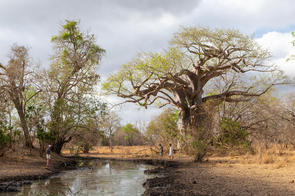 Zinave National Park