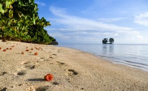 Amazing Facts About Seychelles
