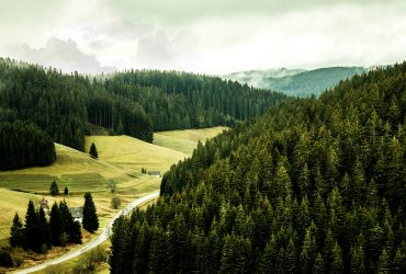 Black Forest, Germany