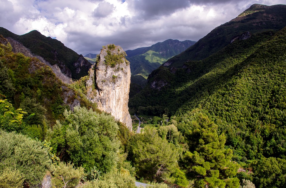 Bosco Archifòro, Calabria