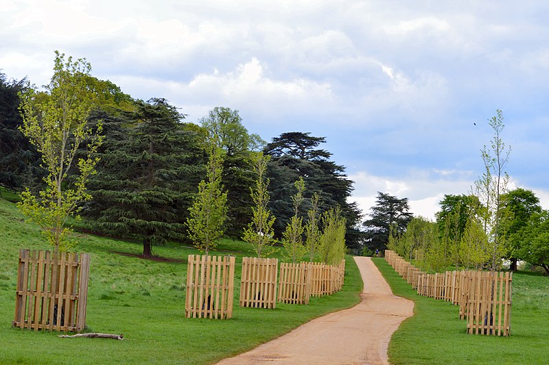 Richmond Park