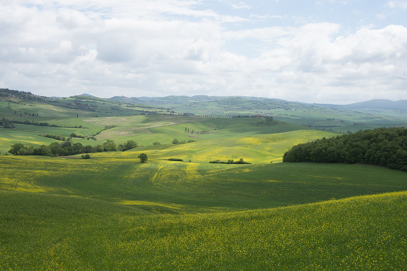 Rigo, San Quirico d'Orcia