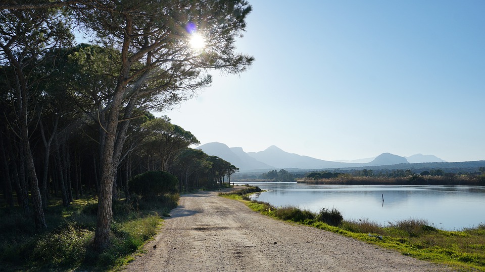 State Forest of Monte Limbara, Sardinia