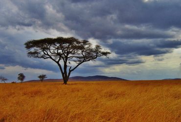 Tanzania