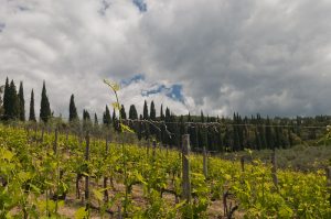 Villa Vignamaggio, Tuscany