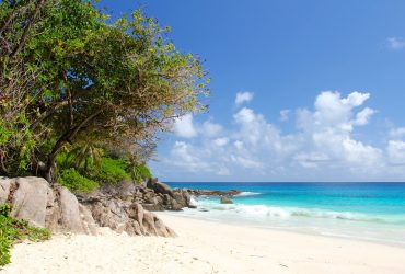 What to Expect in Seychelles