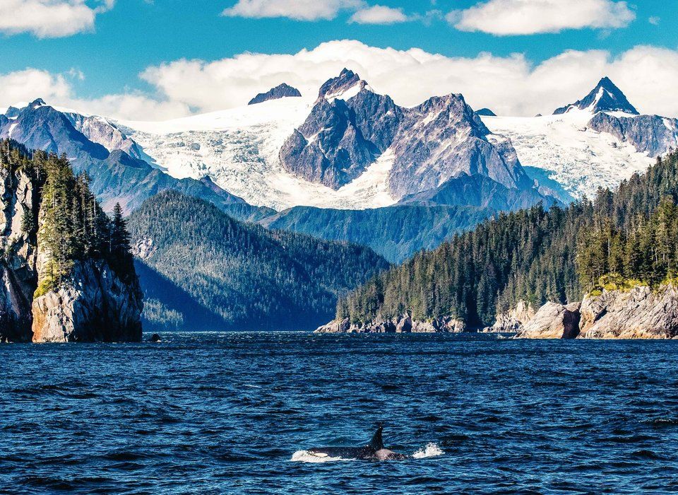 Kenai Fjords National Park