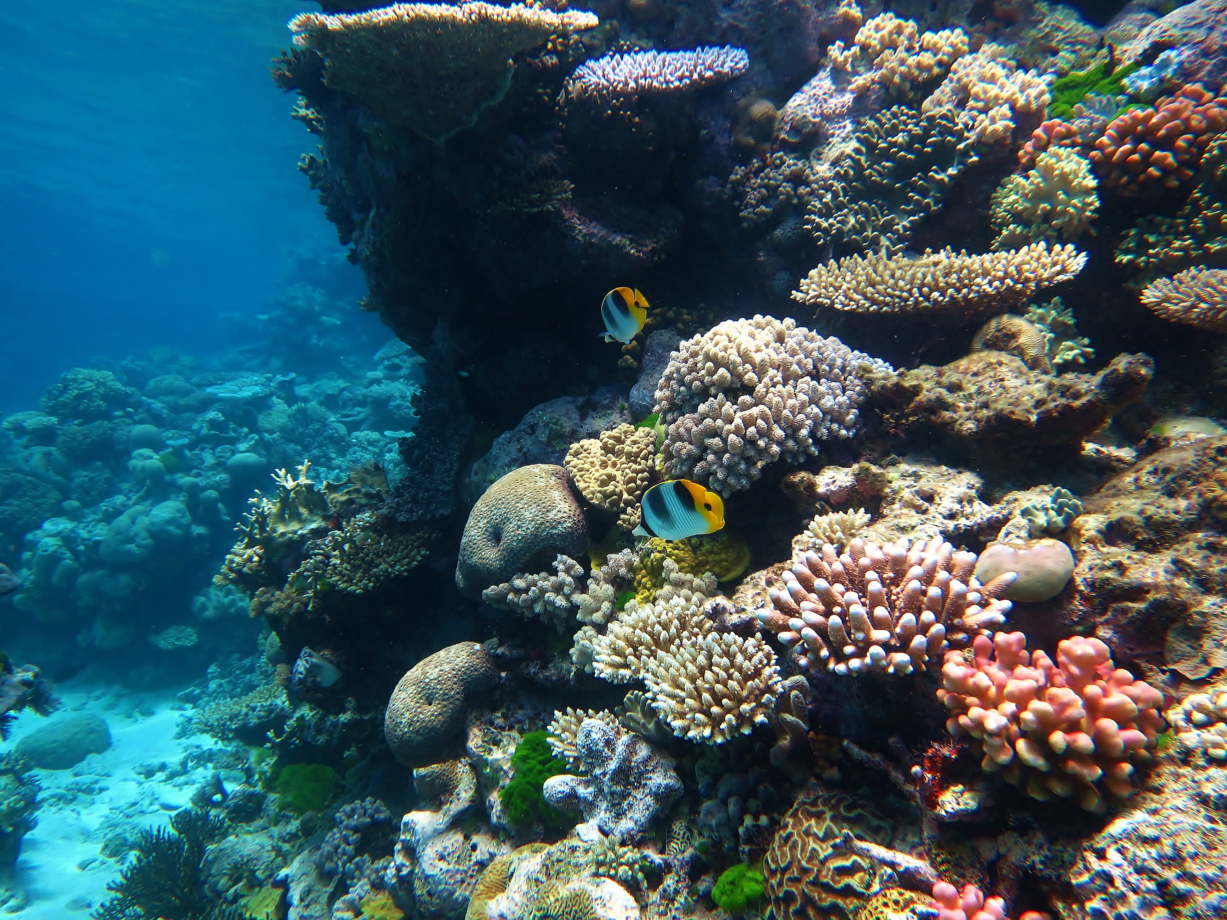 2- The Great Barrier Reef (Australia)