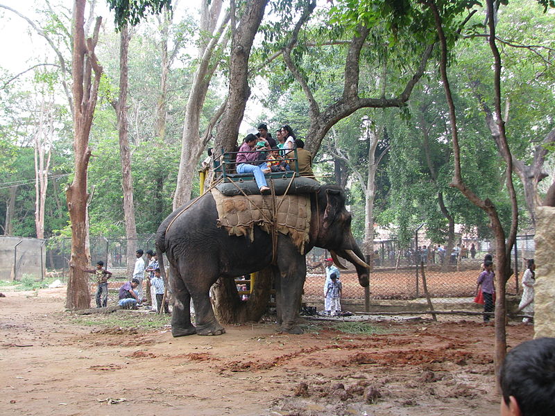 Bannerghatta National Park