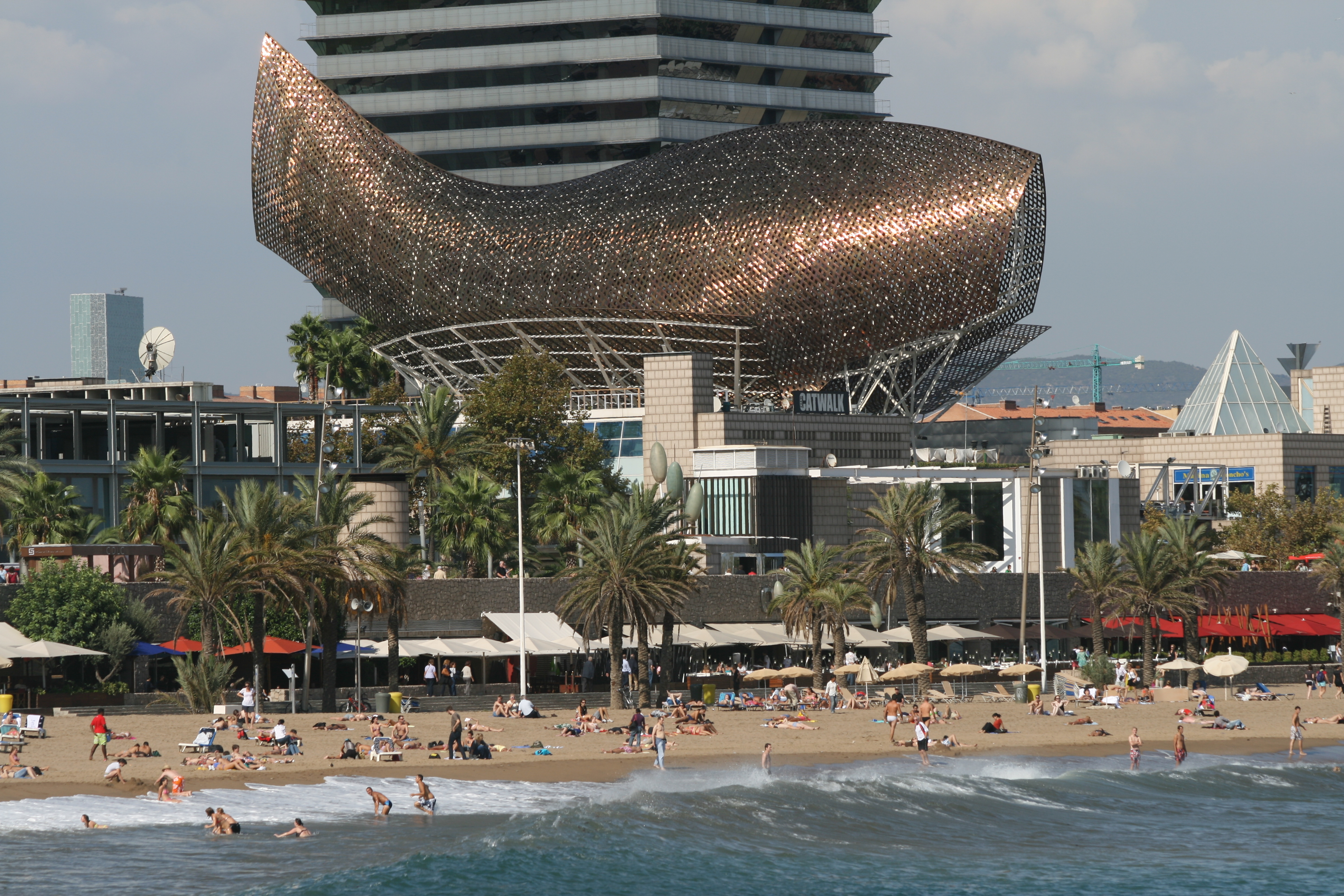 File:Barcelona Gehry fish.jpg - Wikimedia Commons