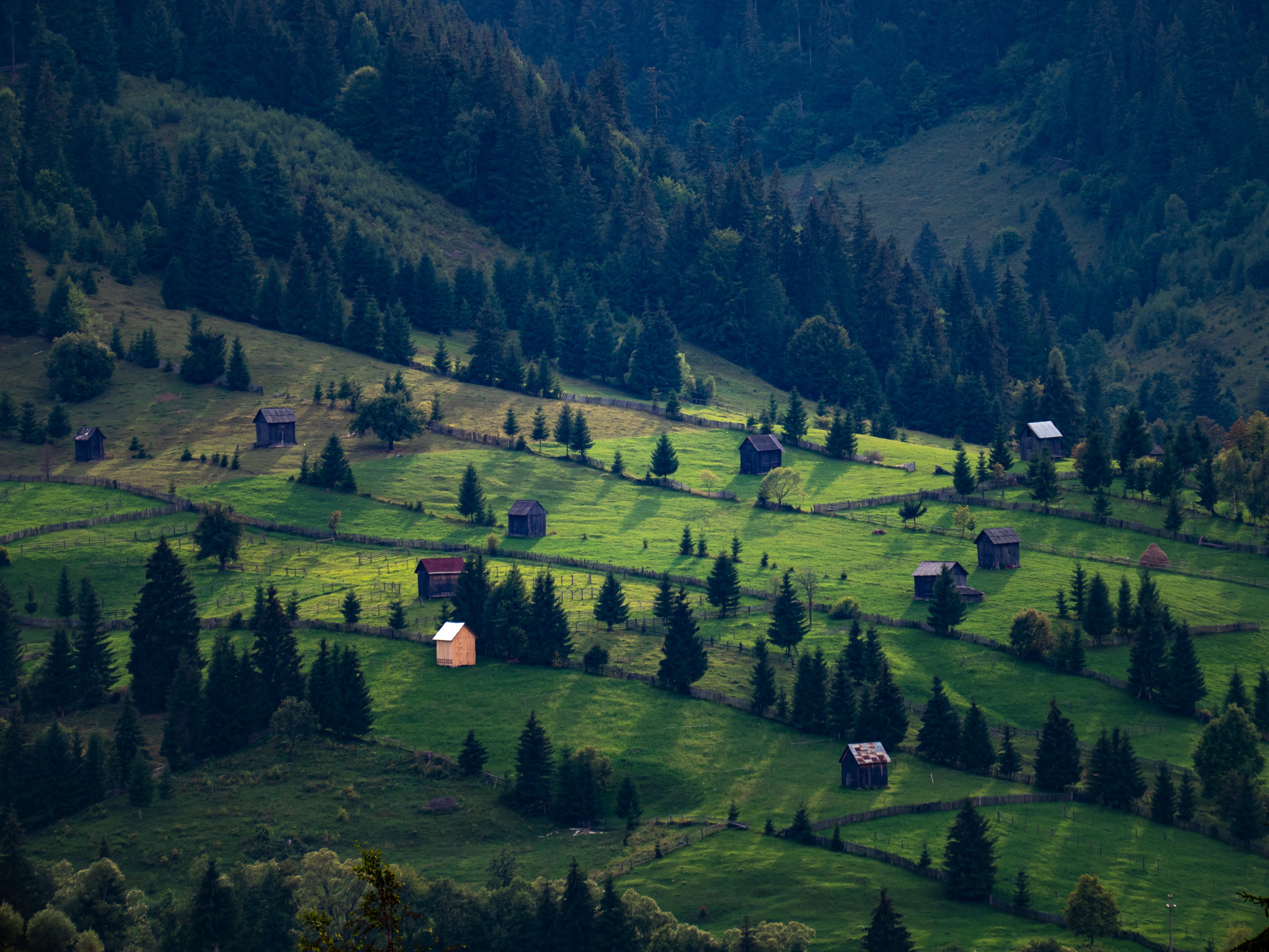 Зеленая деревня. Village field.