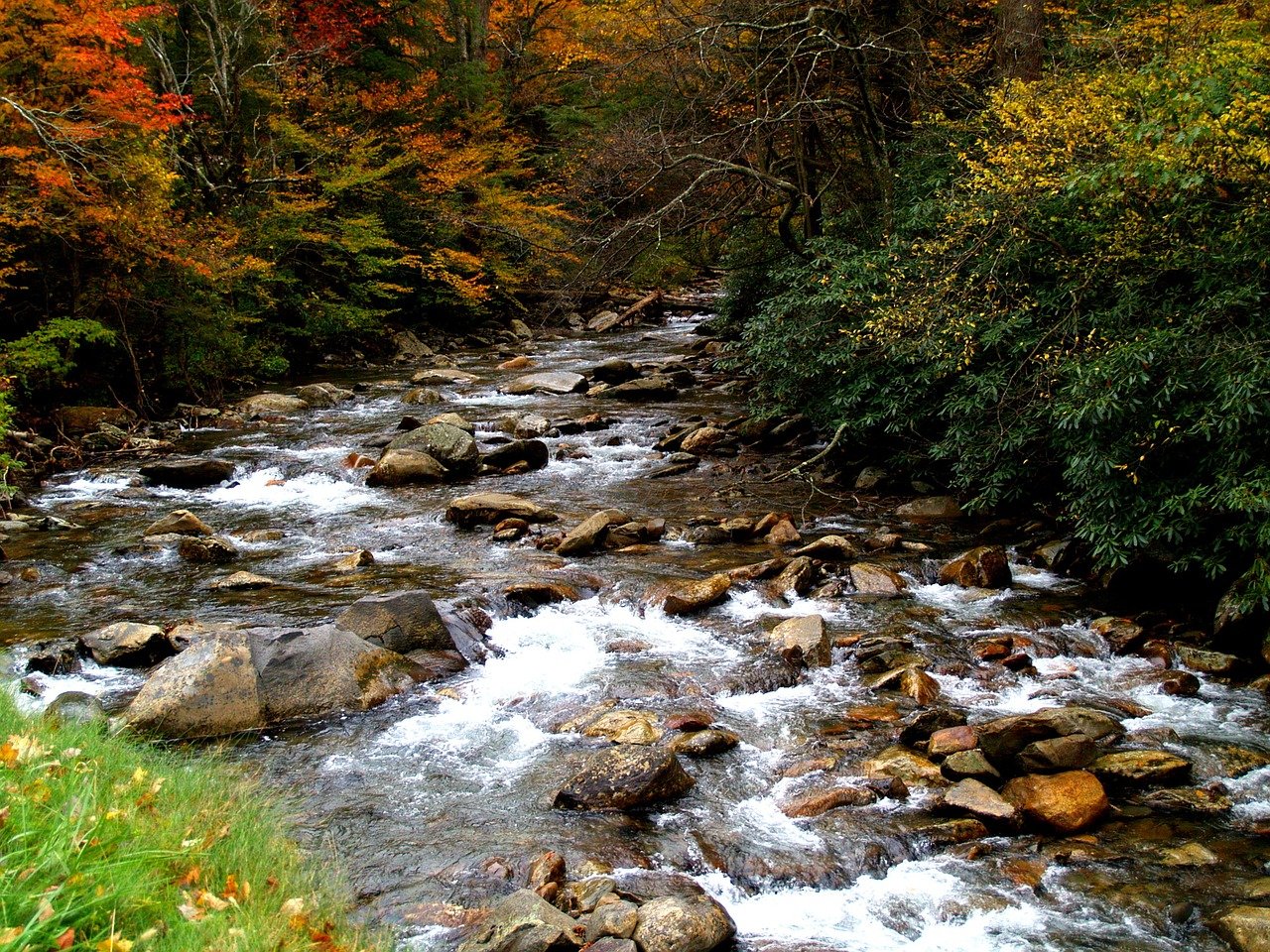 great smoky