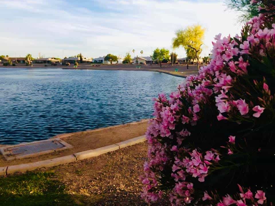 Maricopa Lake Park