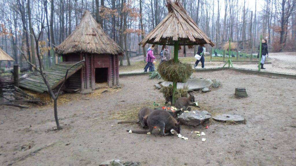 Miskolc Zoo