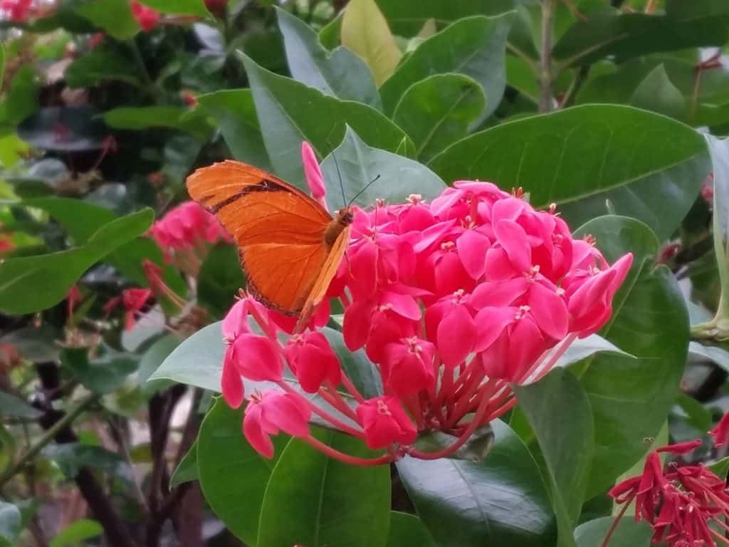 14 Unmissable Experiences In Fruita, Colorado A MustSee Destination!