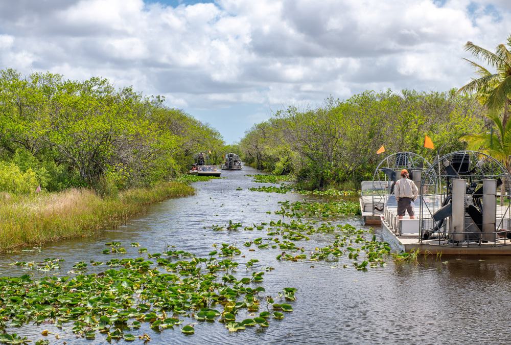 Airboat Wildlife Tour to Everglades National Park