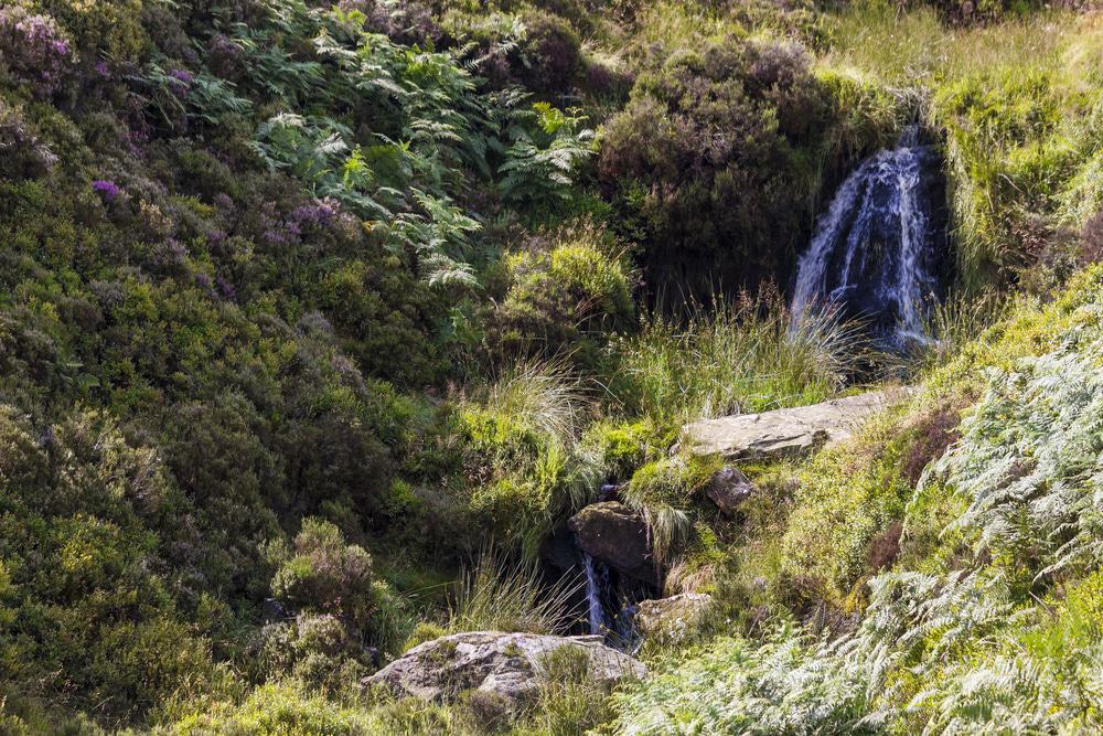 Brontë Waterfall