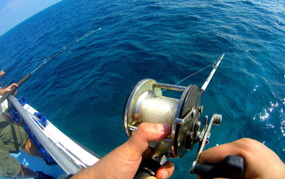 Cape Canaveral Deep Sea Fishing Charters