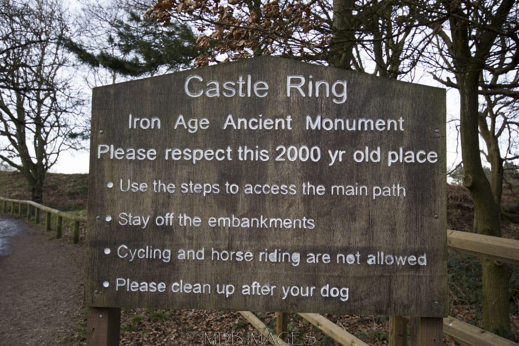 Castle Ring