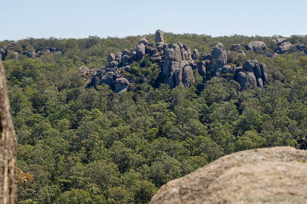 Cathedral Rock National Park