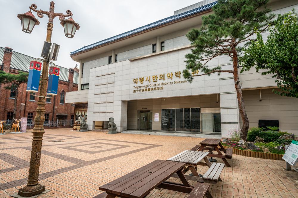 Daegu Yangnyeongsi Museum of Oriental Medicine