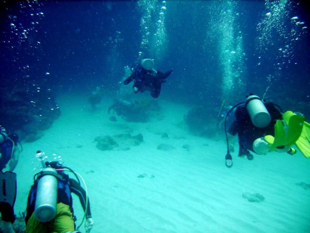 Dive underwater on a SCUBA excursion
