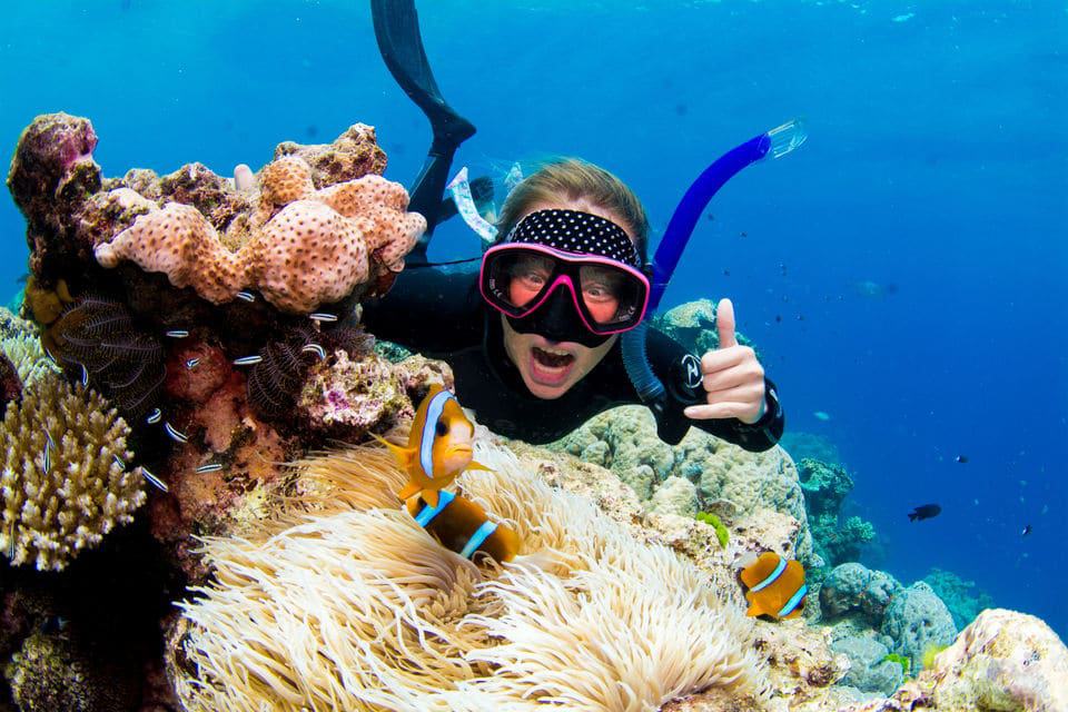 From Cairns: Luxury Great Barrier Reef Snorkeling Tour