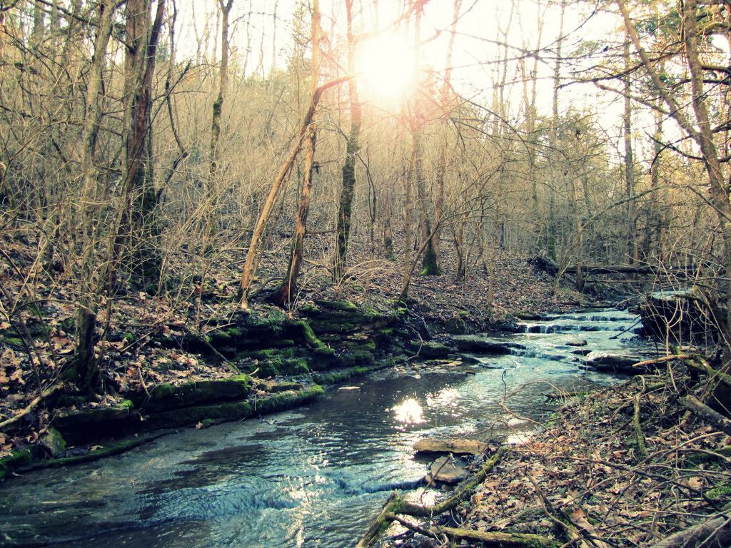 Get away from it all at the Raven Run Nature Sanctuary