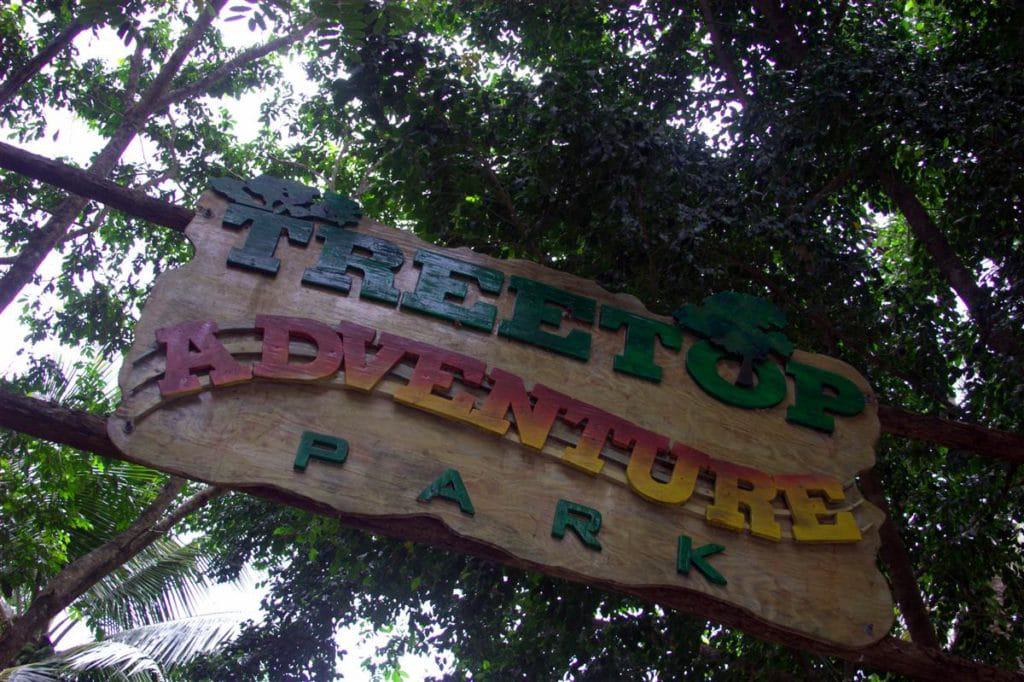 Get the heart thumping at the Treetop Adventure Park