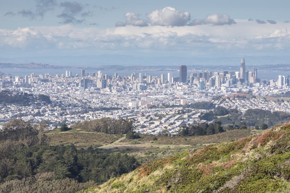 Go Hiking at San Bruno Mountain State Park
