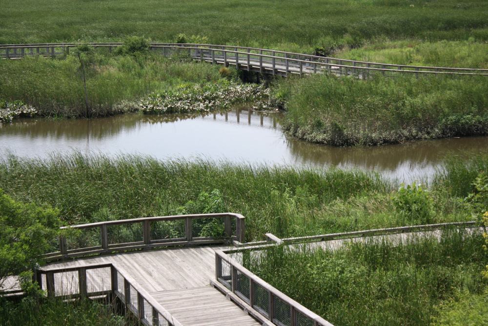 Immerse Yourself in Nature at the Russell W. Peterson Wildlife Refuge