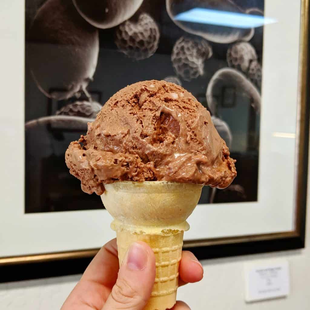 Indulge with Ice Cream and Art at Double Dip Gallery