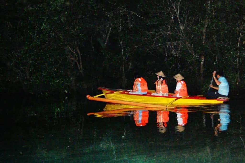 Iwahig River Firefly Kayaking