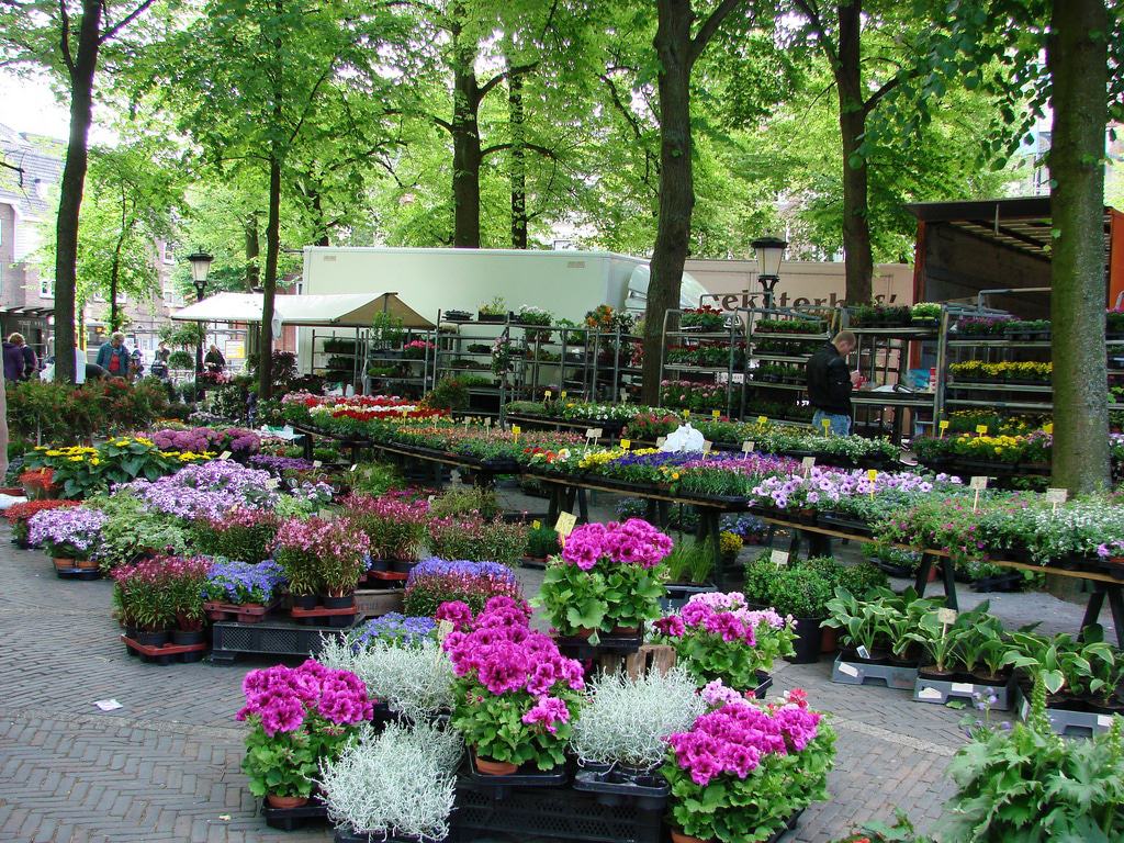 Janskerkhof flower market