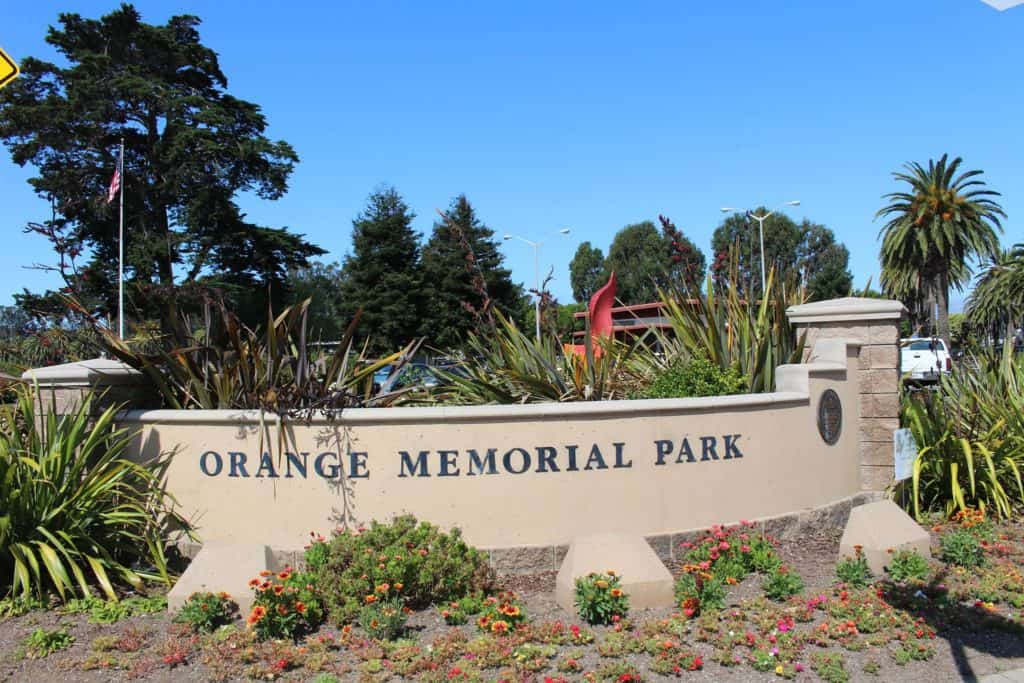 Kick Back in Orange Memorial Park