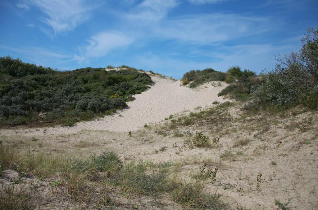 La Dune Marchand