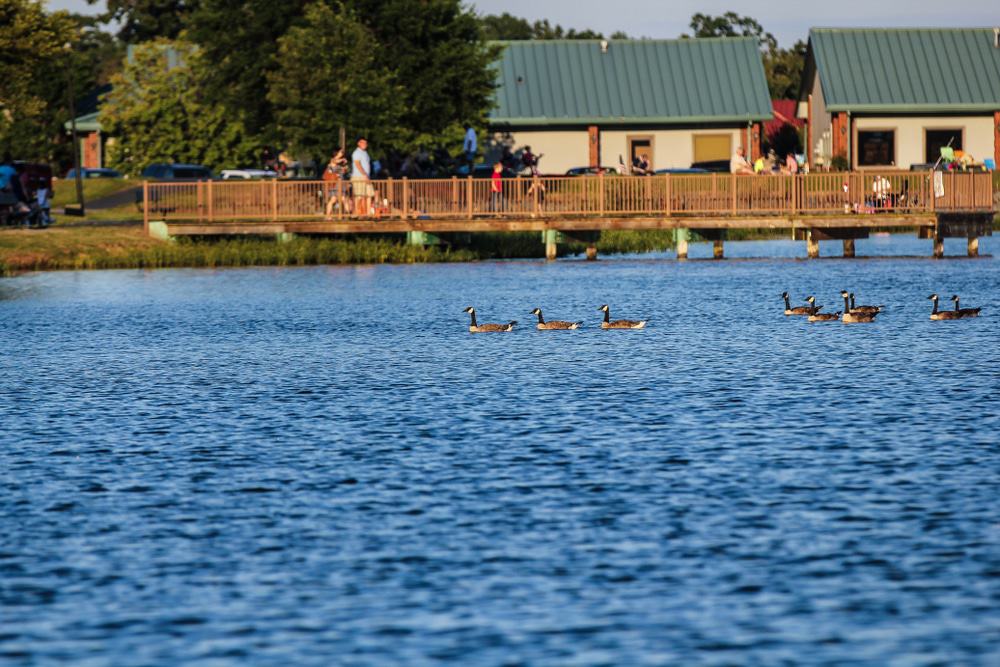 Lake Willastein Park