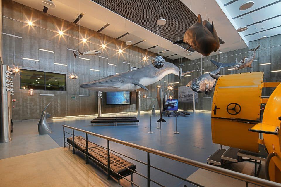 Madeira Whale Museum