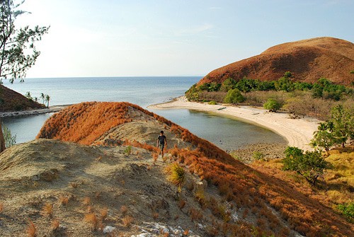 Malalison Island
