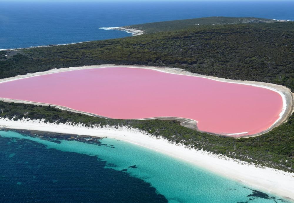 Middle Island & Pink Lake Hillier Scenic Flight