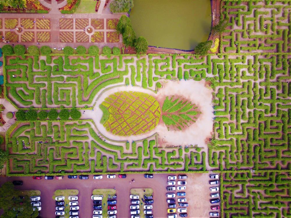 Pineapple Garden Maze, Oahu