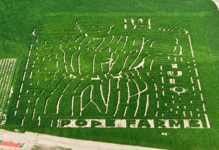 Pope’s Pumpkin Patch & Corn Maze
