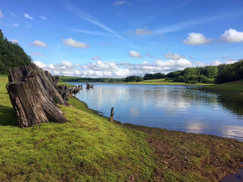 Roadford Lake Country Park