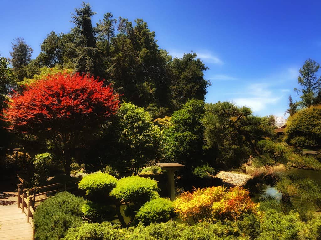 Slip into a Peaceful Oasis at the San Mateo Japanese Garden